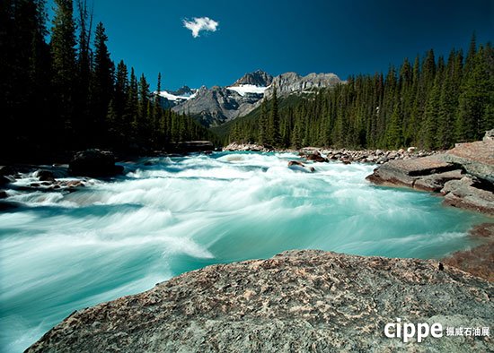 Canada Alberta Pavilion at CIPPE(图1)