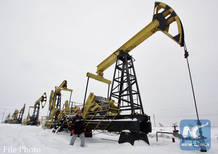 Russias oil company discovers new oil field on shelf(图1)